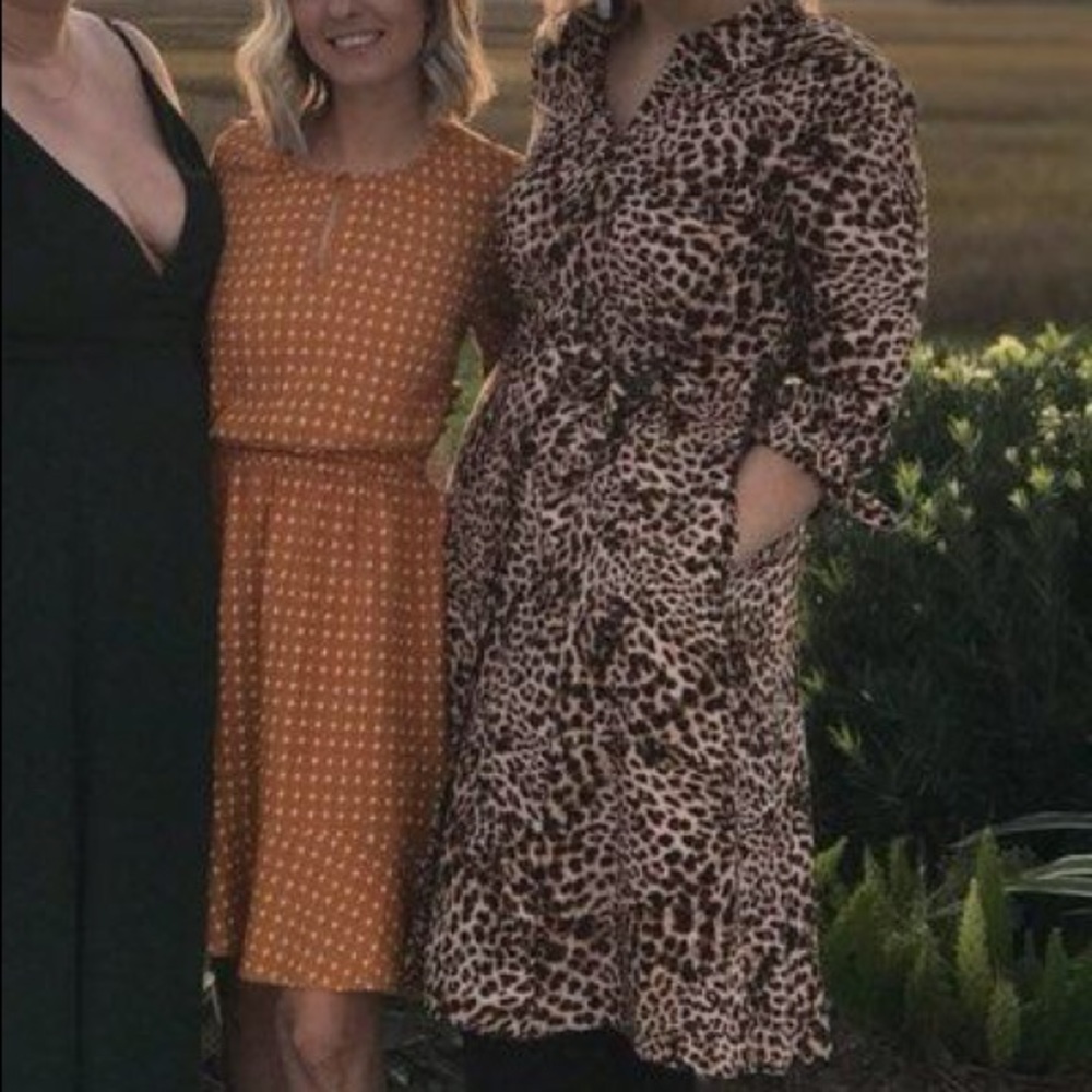 Calvin Klein fit and flare leopard dress